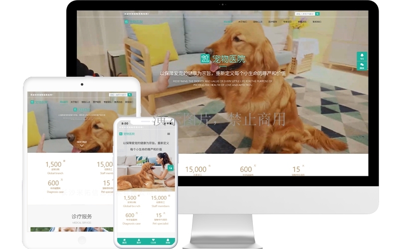 寵物醫(yī)院響應(yīng)式模板